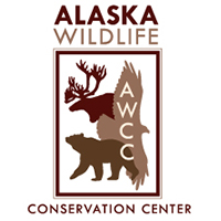 Alaska Wildlife Conservation Center